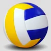Professional Volleyball – Size 5 PVC Indoor & Beach Volleyball